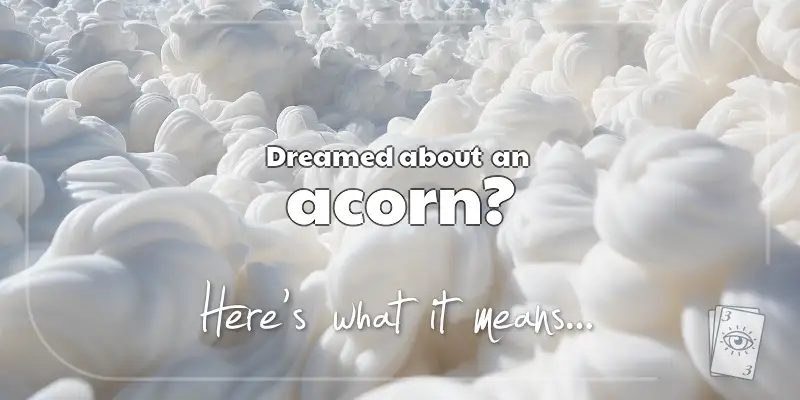 The Meaning of Dreams About an Acorn header image