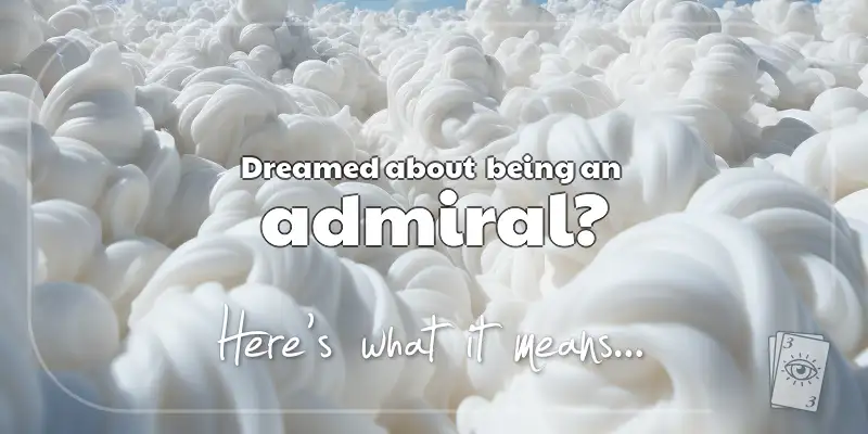 The Meaning of Dreams About an Admiral header image