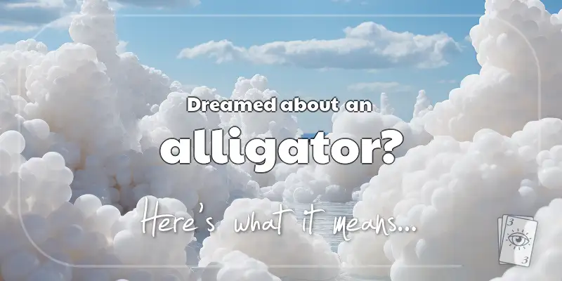 The Meaning of Dreams About an Alligator header image