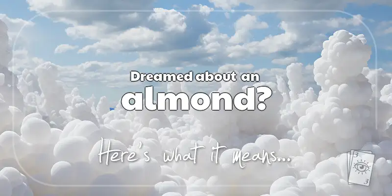 The Meaning of Dreams About an Almond header image