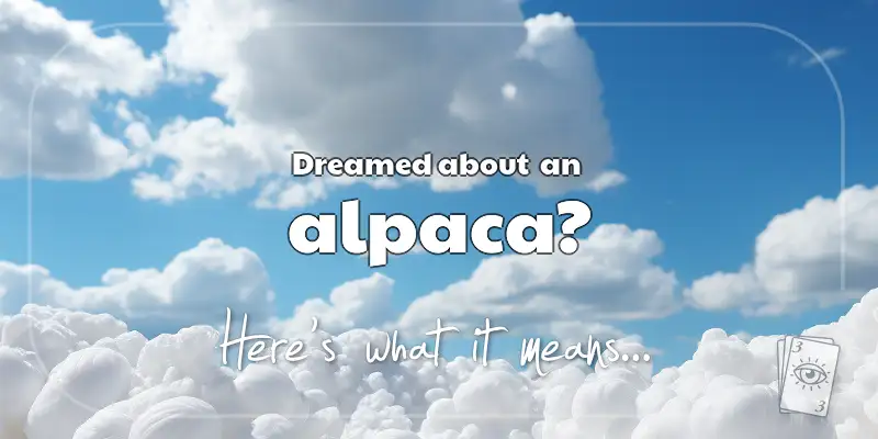 The Meaning of Dreams About an Alpaca header image