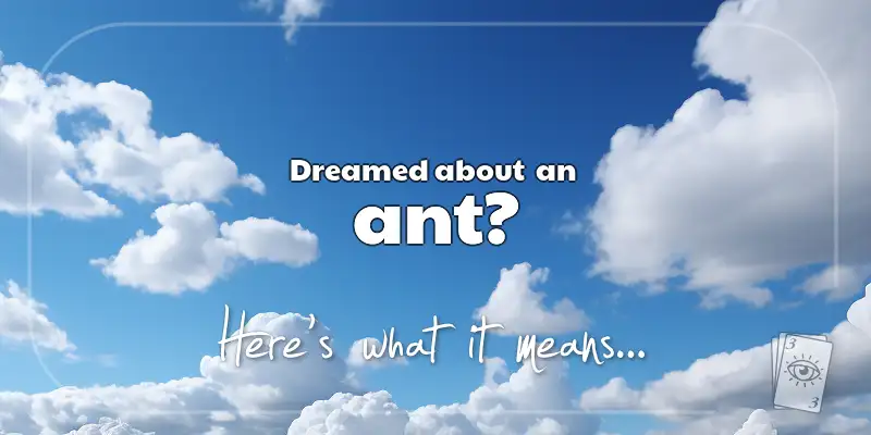 The Meaning of Dreams About an Ant header image