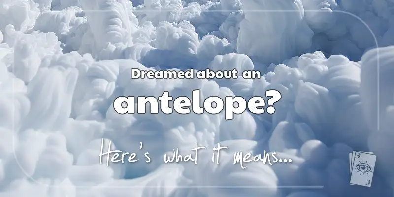 The Meaning of Dreams About an Antelope header image