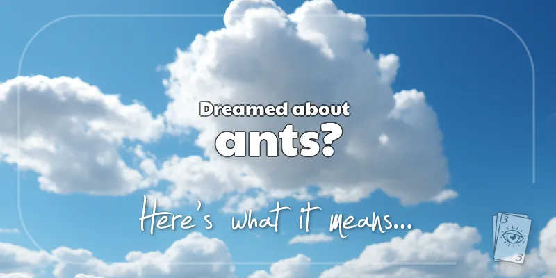 The Meaning of Dreams About Ants header image