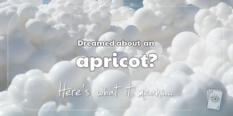 The Meaning of Dreams About an Apricot header image