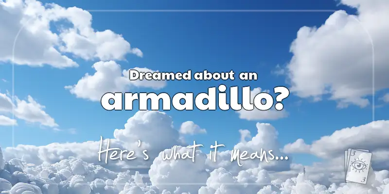 The Meaning of Dreams About an Armadillo header image