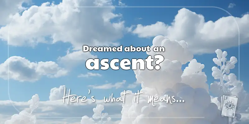 The Meaning of Dreams About an Ascent header image